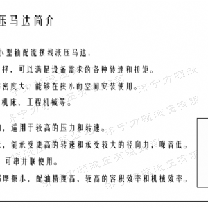 天行(中国)侧油口系列马达