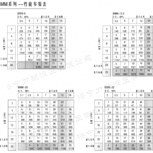 天行(中国)侧油口系列马达