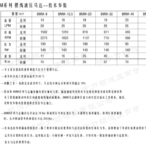 天行(中国)侧油口系列马达