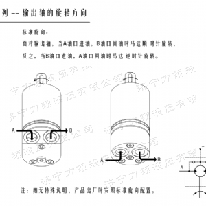 天行(中国)后油口系列马达