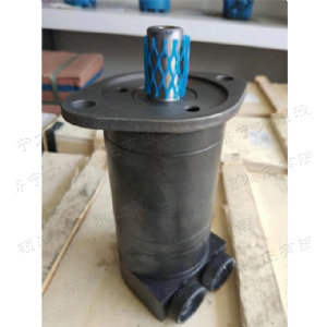 天行(中国)侧油口系列马达