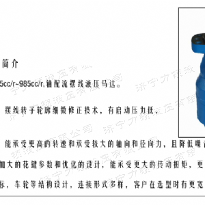BMH系列并列油口天行网页版马达