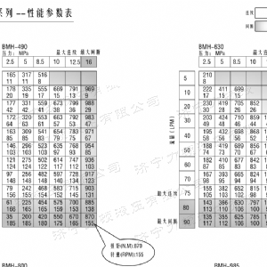 BMH系列并列油口天行网页版马达