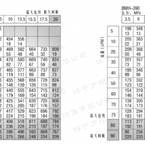 BMH系列并列油口天行网页版马达