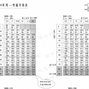 BMH系列并列油口天行网页版马达