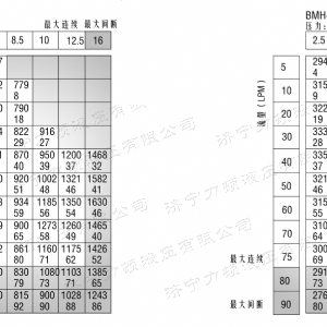 BMH系列并列油口天行网页版马达