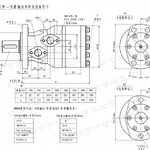 BMH系列交错油口天行网页版马达